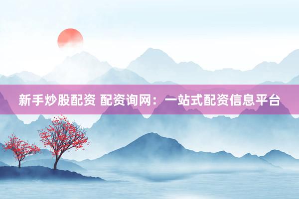 新手炒股配资 配资询网：一站式配资信息平台