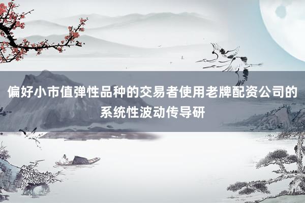 偏好小市值弹性品种的交易者使用老牌配资公司的系统性波动传导研