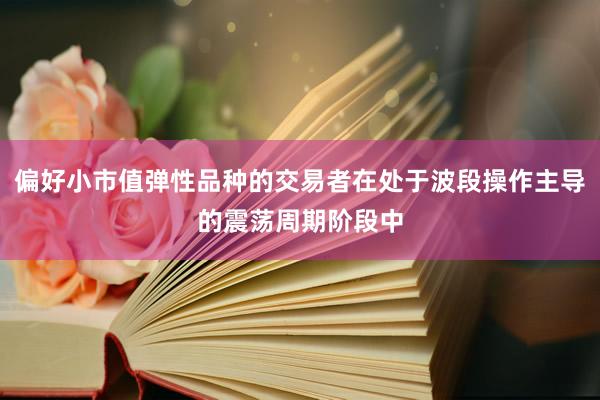 偏好小市值弹性品种的交易者在处于波段操作主导的震荡周期阶段中