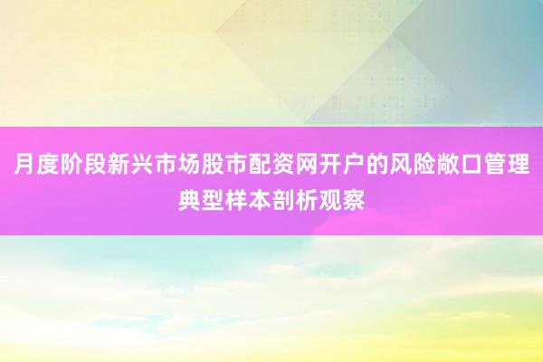 月度阶段新兴市场股市配资网开户的风险敞口管理典型样本剖析观察