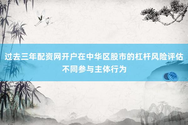 过去三年配资网开户在中华区股市的杠杆风险评估不同参与主体行为