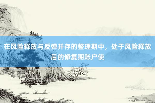 在风险释放与反弹并存的整理期中，处于风险释放后的修复期账户使