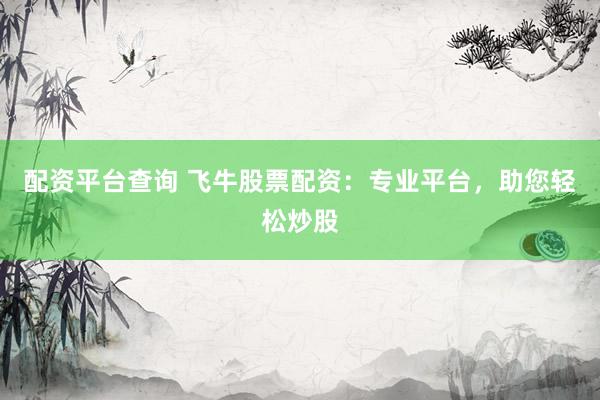 配资平台查询 飞牛股票配资：专业平台，助您轻松炒股